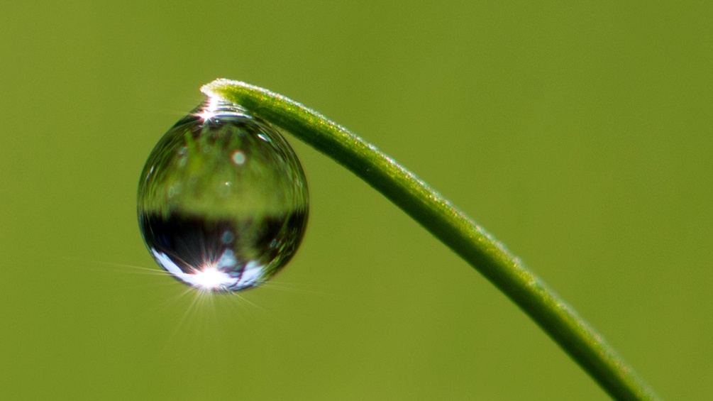 Wassertropfen