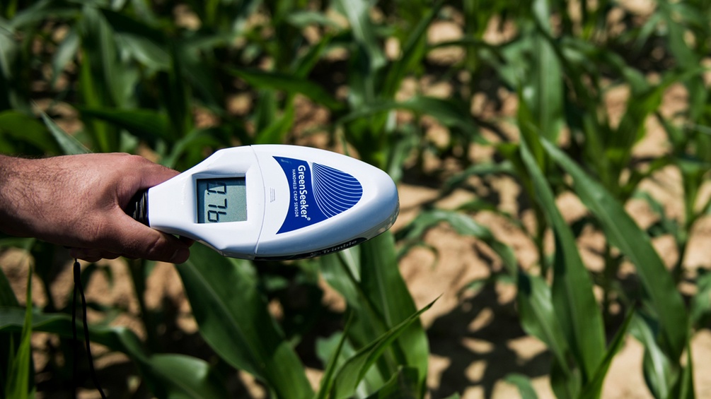 Ein Sensor um die Gesundheit der Pflanzen zu messen