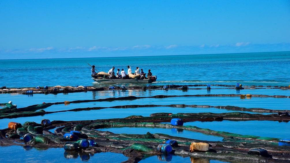 Ufer mit Abfall und Öl in Mauritius