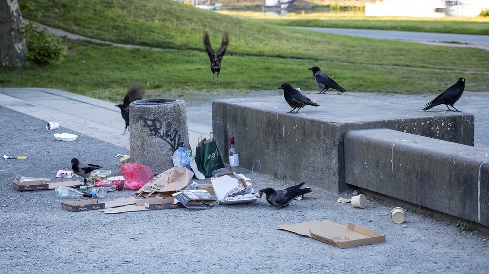 PICTUREDESK.COM/IMAGEBROKER7GABRIELE HANKE Raben und Abfall in einem Park