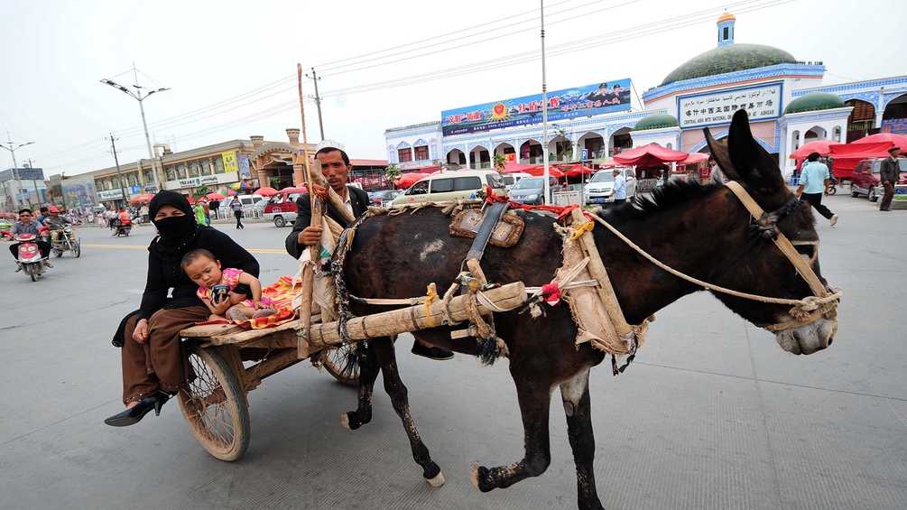 Esel zieht eine Familie in Ostturkestan
