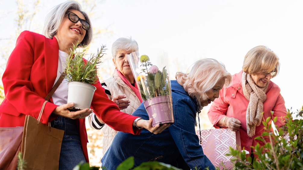 Eine Gruppe von älteren befreundeten Damen kaufen Blumen