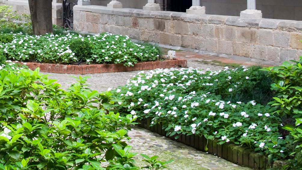 Angelegter Garten in Barcelona