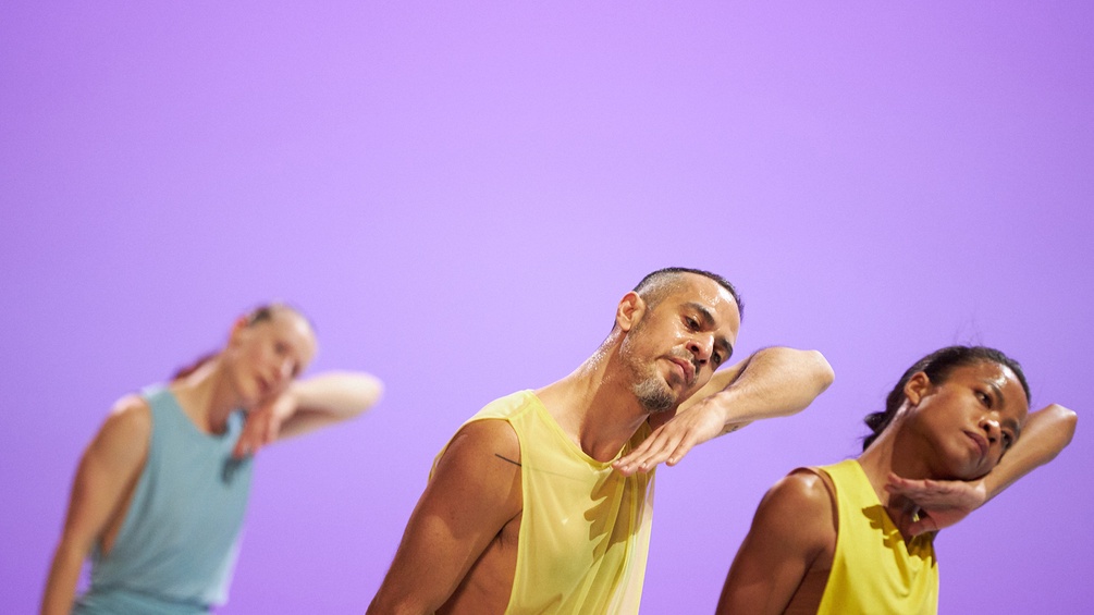 JO GLINKA "In C" - Sasha Waltz & Guests, The Young Gods, Terry Riley (DE/CH/US)