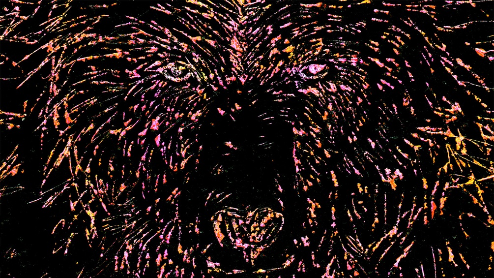 Nastassja Martin. "An das Wilde glauben" - Ausschnitt des Covers