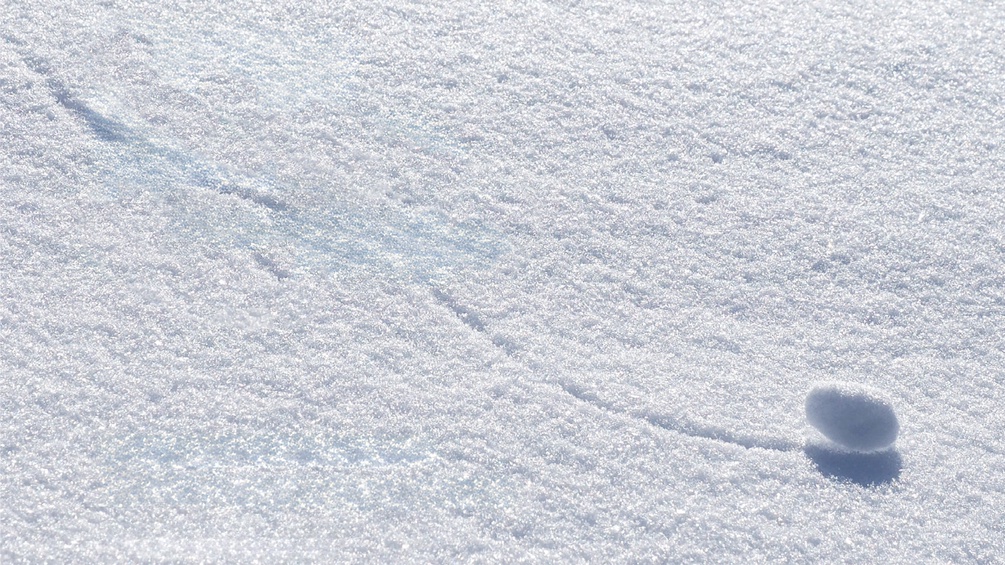 "Eine stille Nacht", Cover (Ausschnitt)