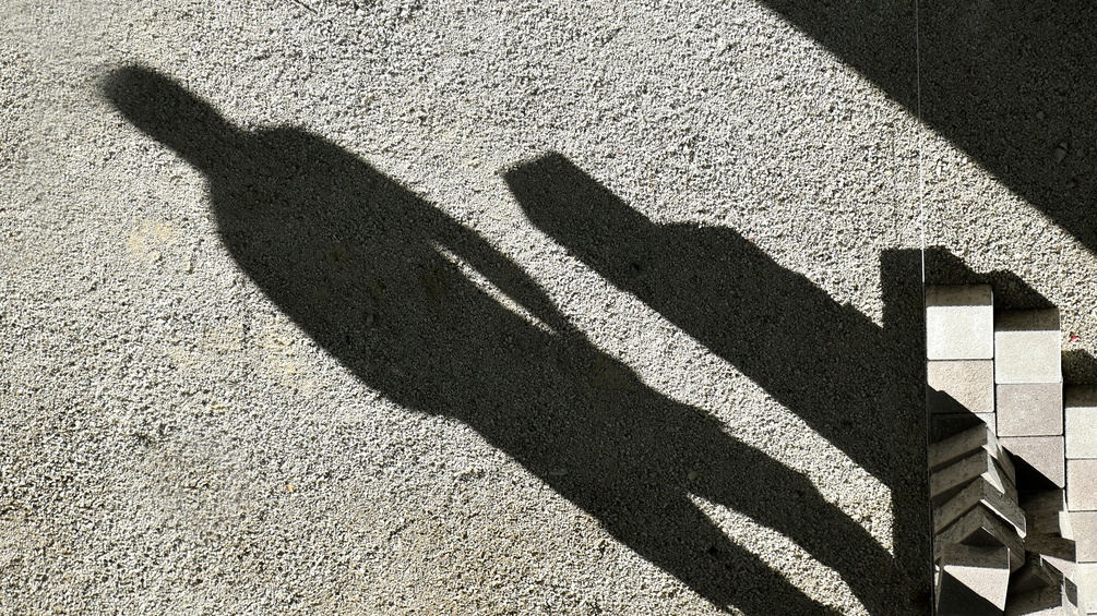 PICTUREDESK.COM/WILLFRIED GREDLER-OXENBAUER Schwarzarbeit, Themenbild, Schatten mit Bausteinen