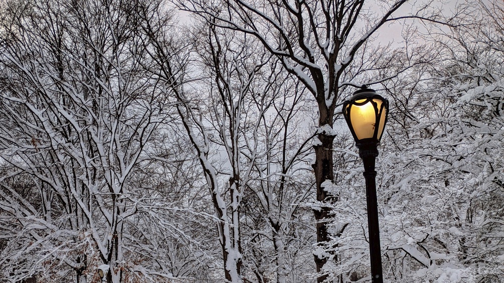 Parklaterne vor verschneiten Bäumen in New York