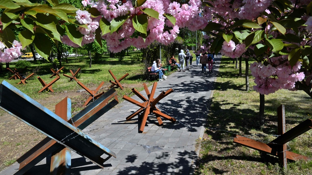 Park im Umfeld von Kiev mit Kirschblüten
