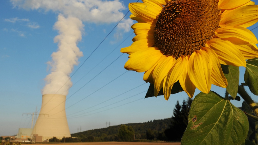 DPA/ARMIN WEIGEL Atomkraftwerk und Sonnenblume