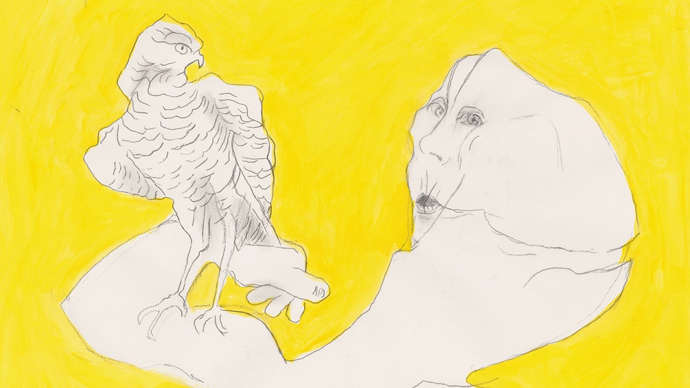 MARIA LASSNIG STIFTUNG Greifvogel, 2000