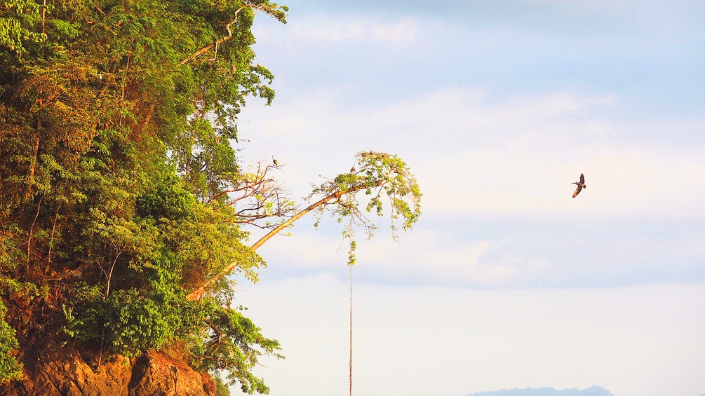 Costa Rica