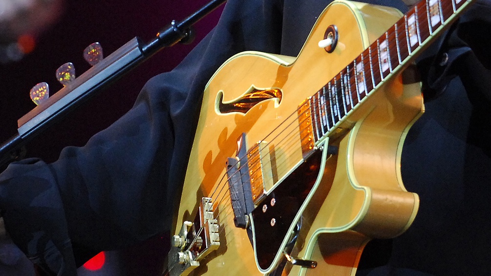 PICTUREDESK.COM/TAS/SHARIFULIN VALERY Jazzgitarre