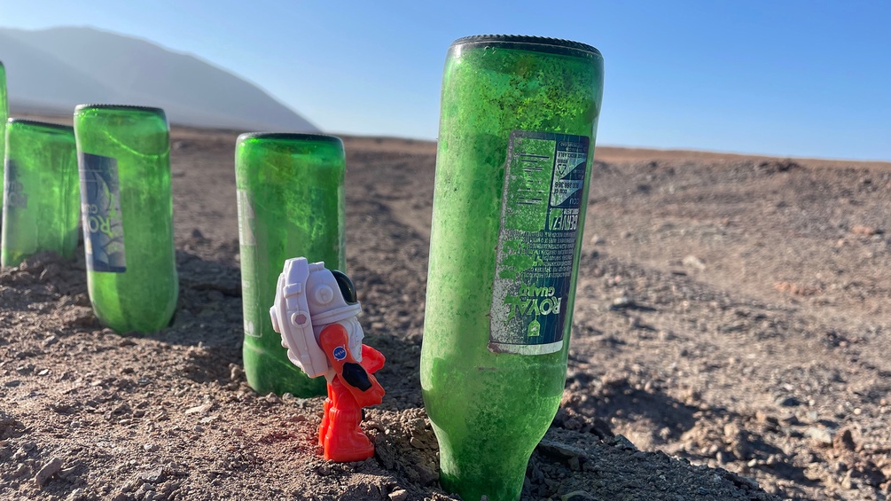 Grüne Flaschen in Erde gesteckt