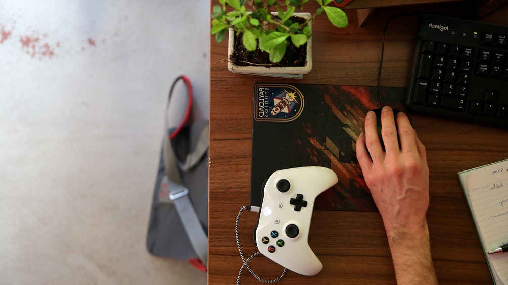 Ein Schreibtisch mit Pflanze und Gaming Controller