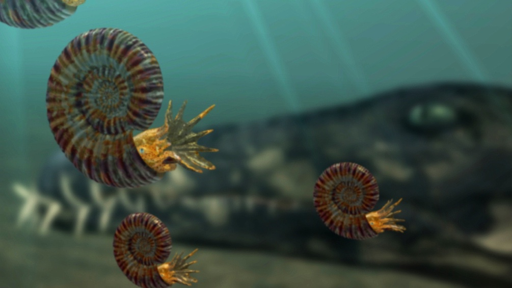 Pliosaurier hinter Ammoniten 