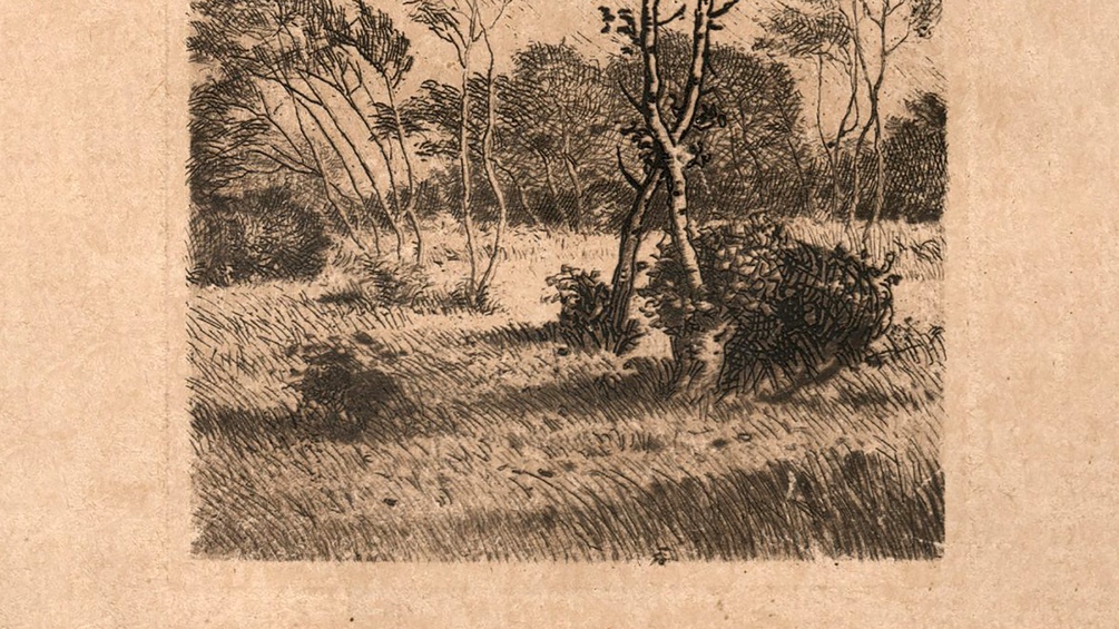 Xaver Bayer, "Hauch" (Ausschnitt des Buchumschlags)