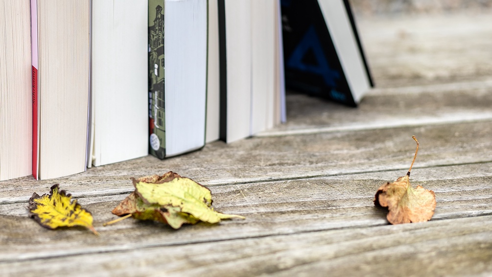 Bücher mit Herbstblätter