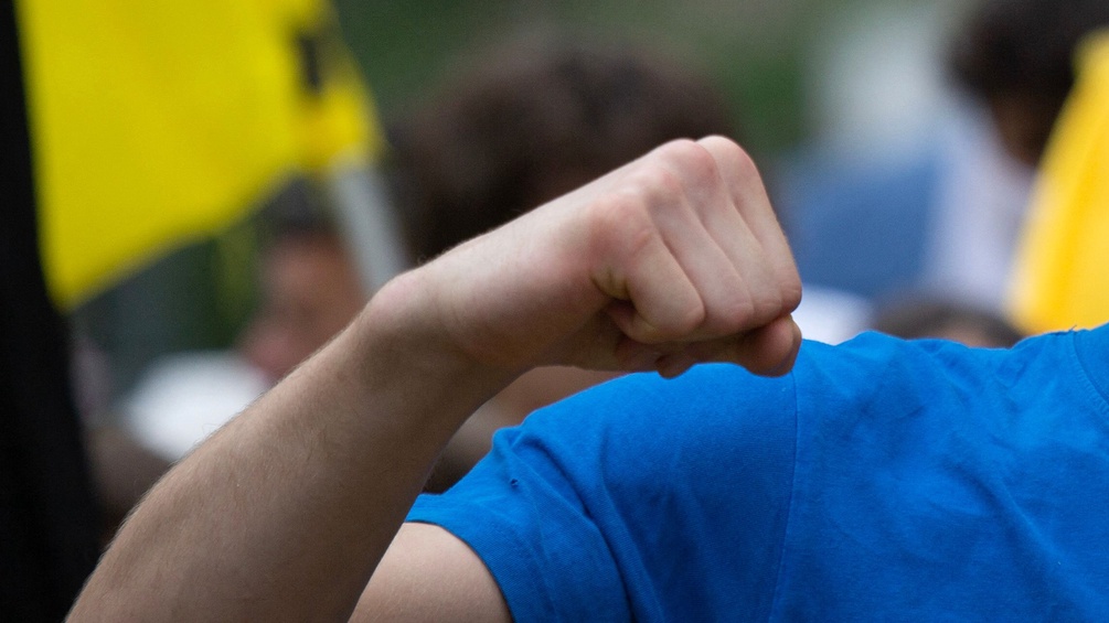 PICTUREDESK.COM/AFP/ALEX HALADA Faust eines jungen Mannes, Identitären
