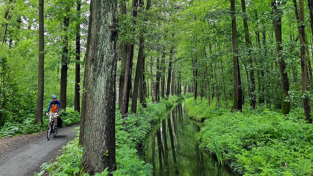 ORF/STEFAN SPATH Radfahrer, Spreewald