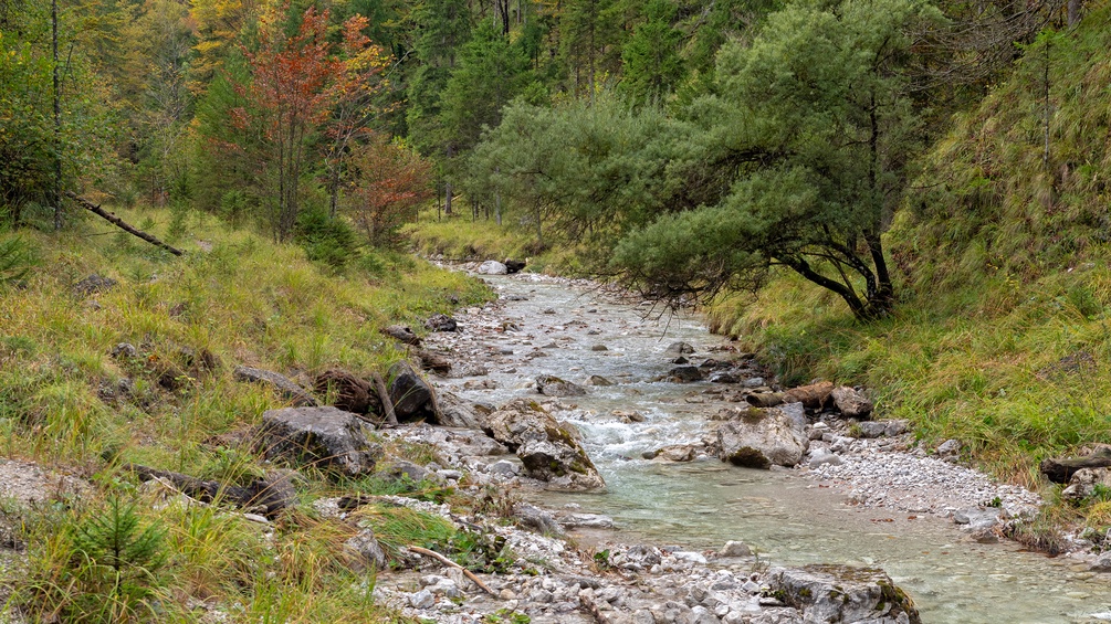 Herbststimmung im Nationalpark Kalkaplen