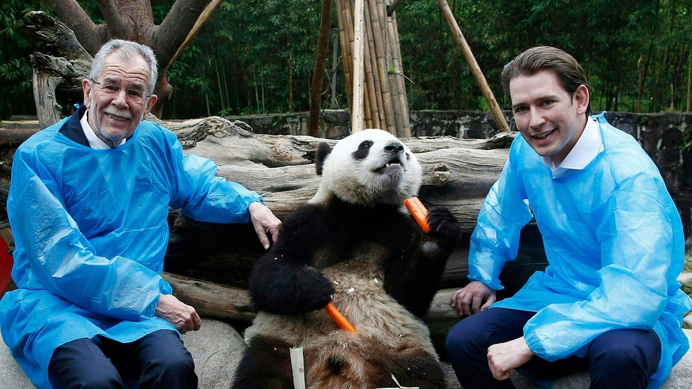 Bundespräsident Alexander Van der Bellen und Bundeskanzler Sebastian Kurz im Du Jiangyan Panda Parks.