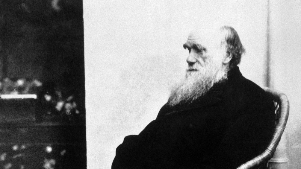 Charles Darwin, 1875