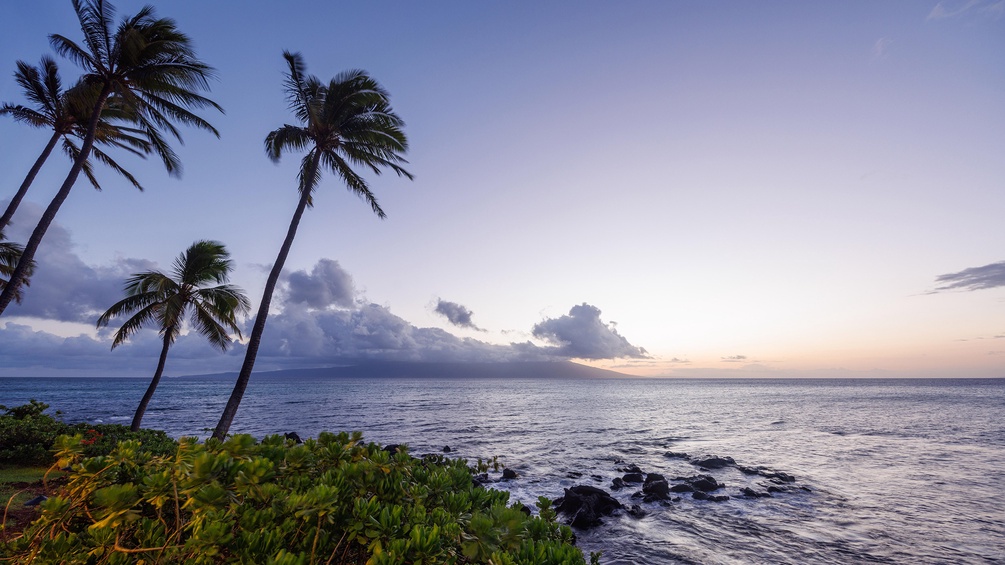 Sonnenuntergang auf Hawaii mit Silhouetten von Palmen