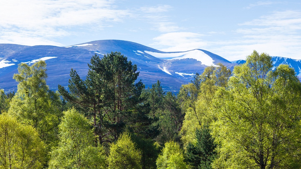 PICTUREDESK.COM/FRANZ PRITZ Blick auf die Cairngorm Mountains