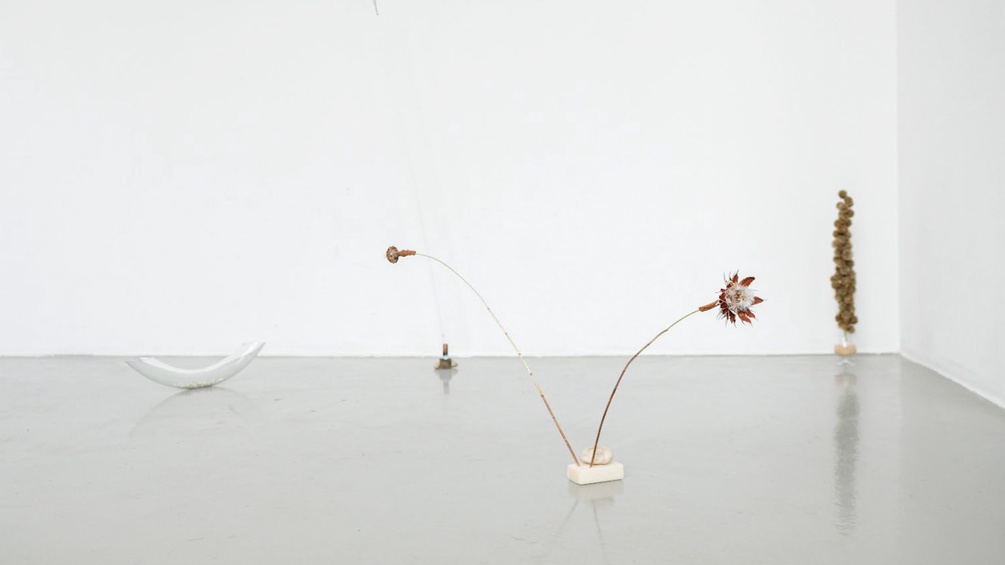 PRIVAT Installation
