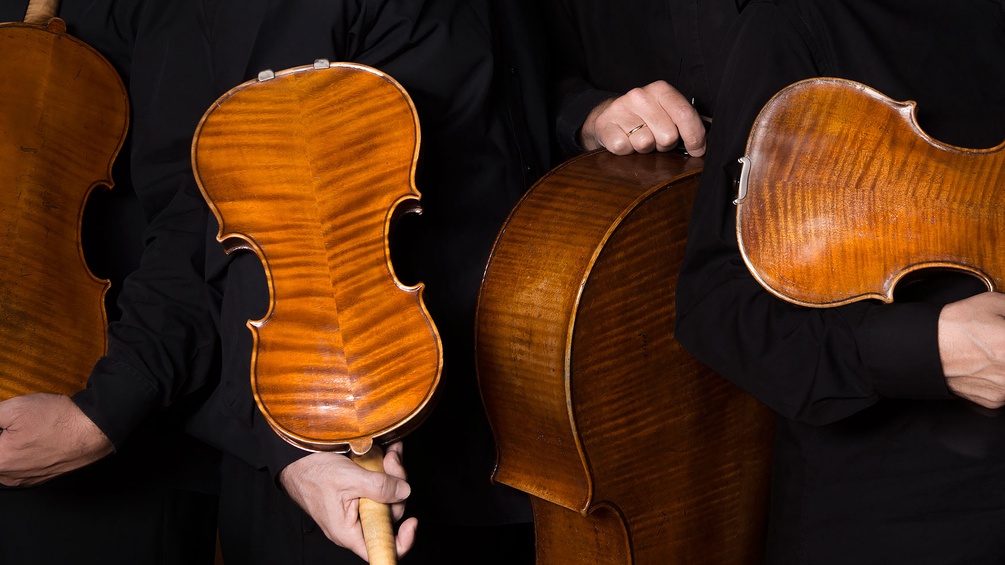Artis Quartett, Violinkörper
