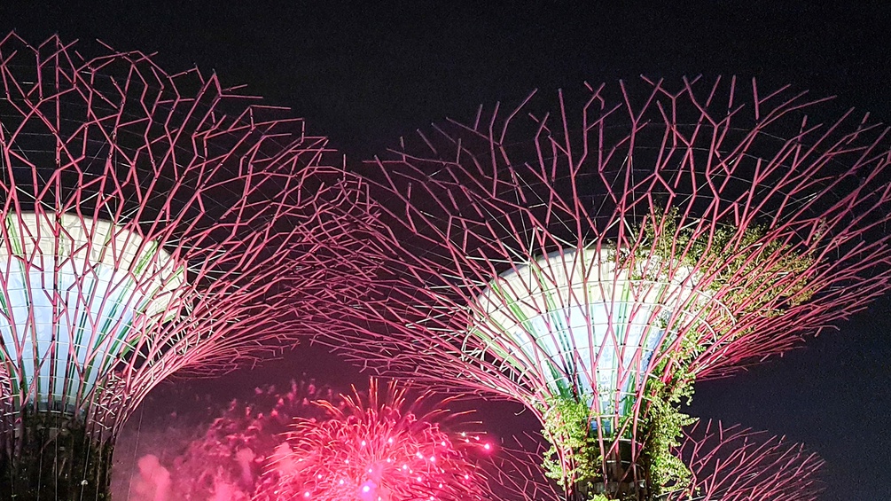 Super Trees aus "Gardens by the Bay"