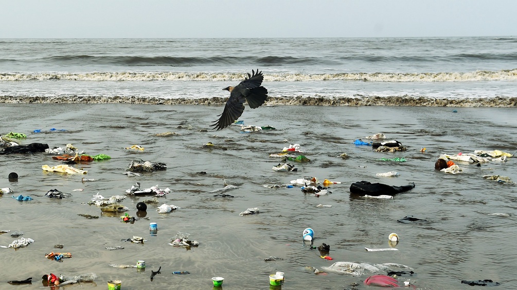 Müll im Meer und am Strand