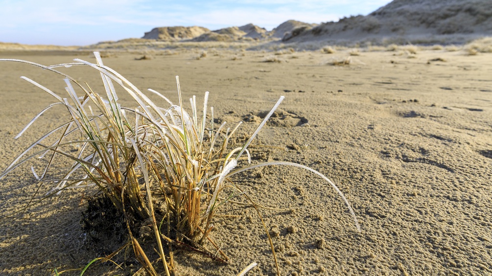 PICTUREDESK.COM/IMAGEBROKER/GABRIELE HANKE Strand, Ostfriesland