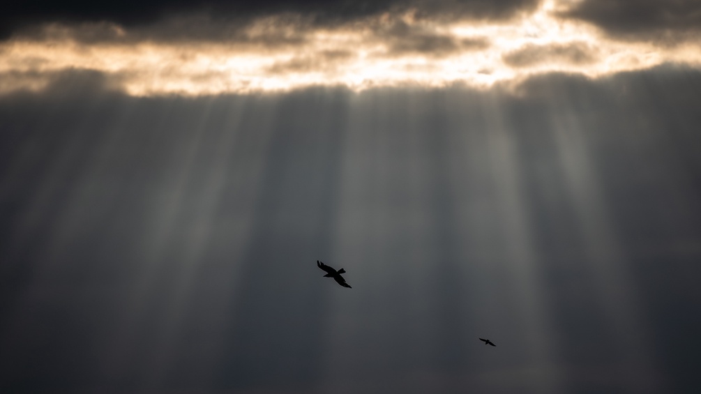 Licht- und Schattenspiel mit Wolken, Vögel