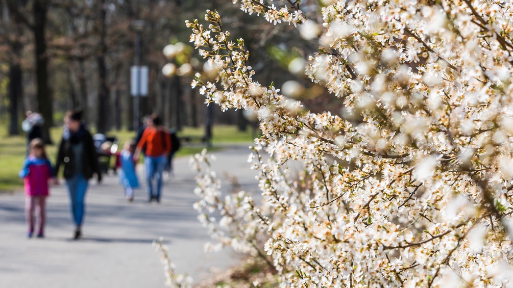 Frühling im Park: Spaziergängerinnen