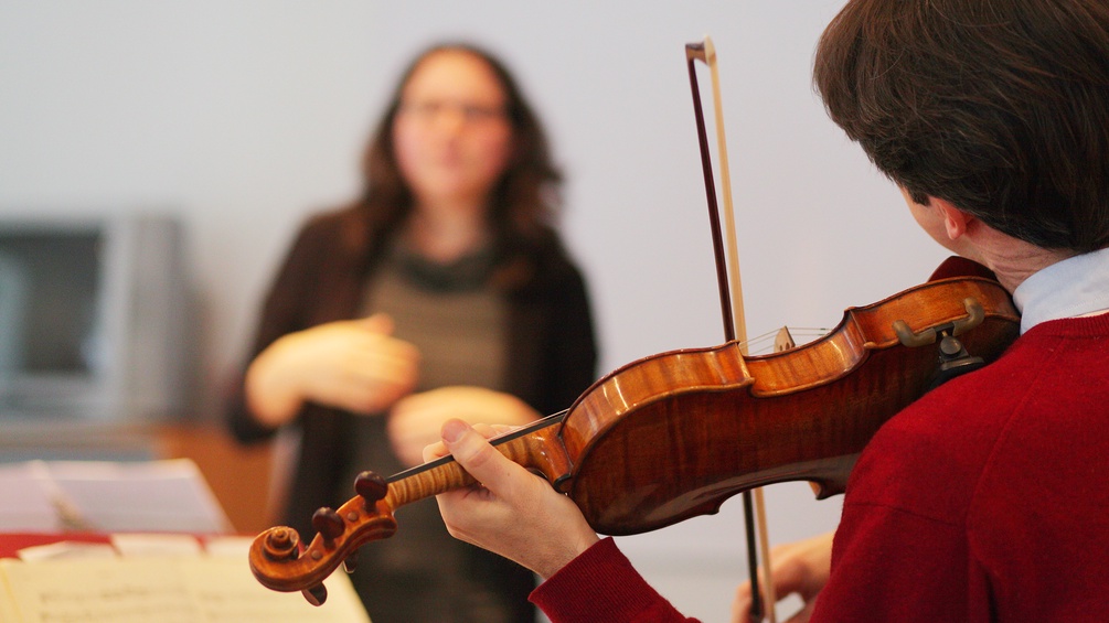 PICTUREDESK.COM Florian Schönwiese mit Violine