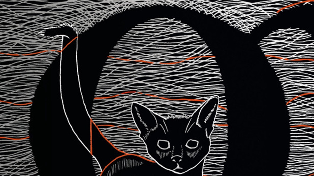 Katze, Cover des Buches