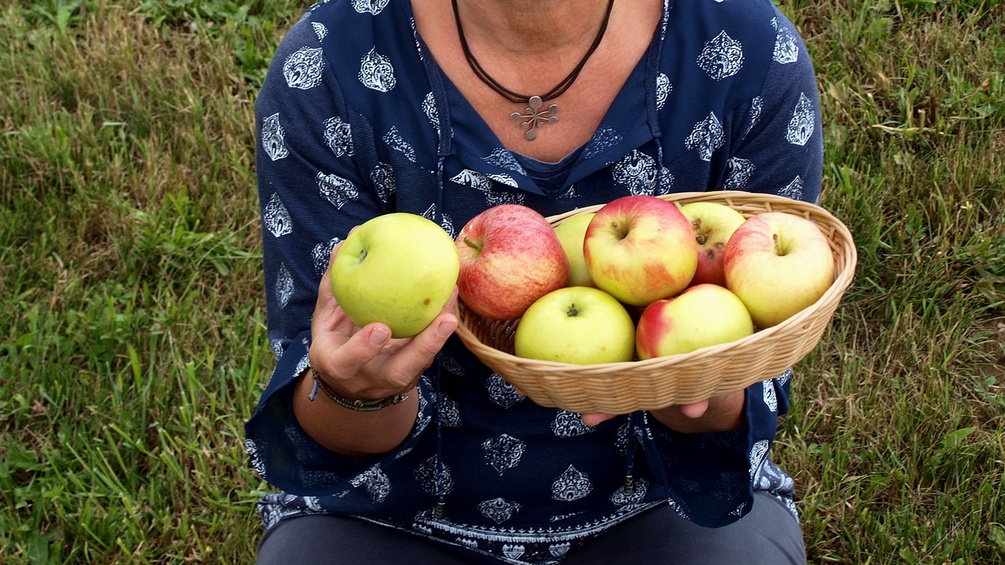 Frau hält Äpfel in einer Schüssel