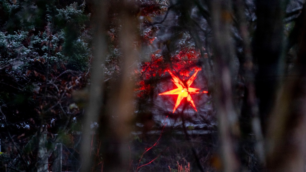 Leuchtender Stern, rot