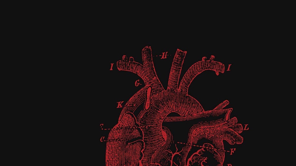 Gezeichnetes Herz (Organ), Coverausschnitt