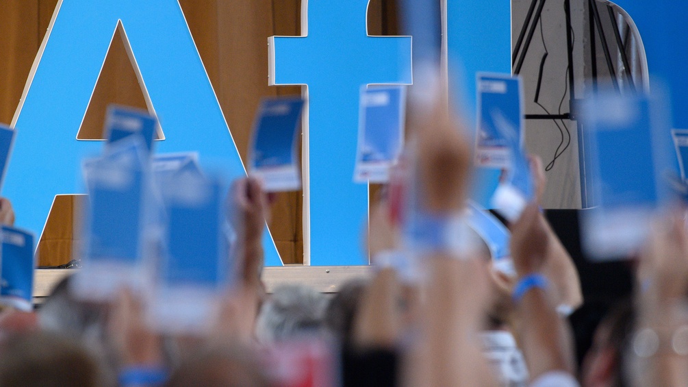 Parteikonferenz der AfD