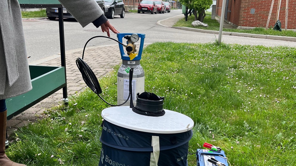 Insektenmonitoring in Österreich