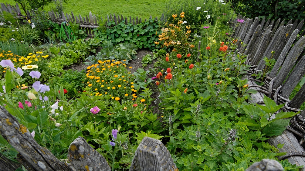 Bauerngarten/Gemüsegarten im Pustertal, Südtirol, Italien