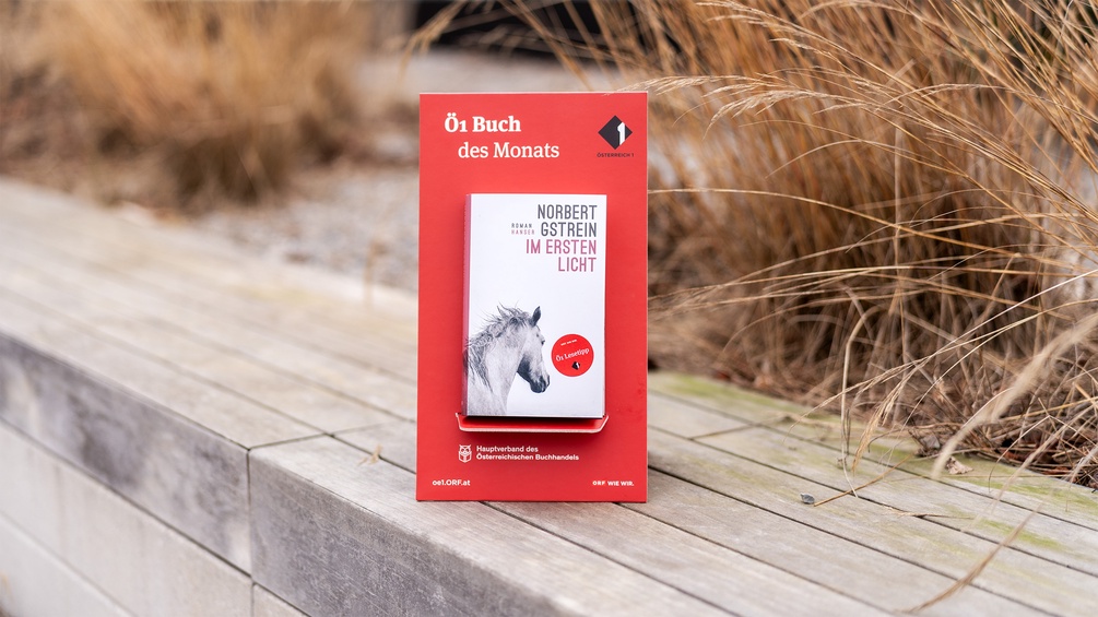 Buch des Monats: "Im ersten Licht" von Norbert Gstrein