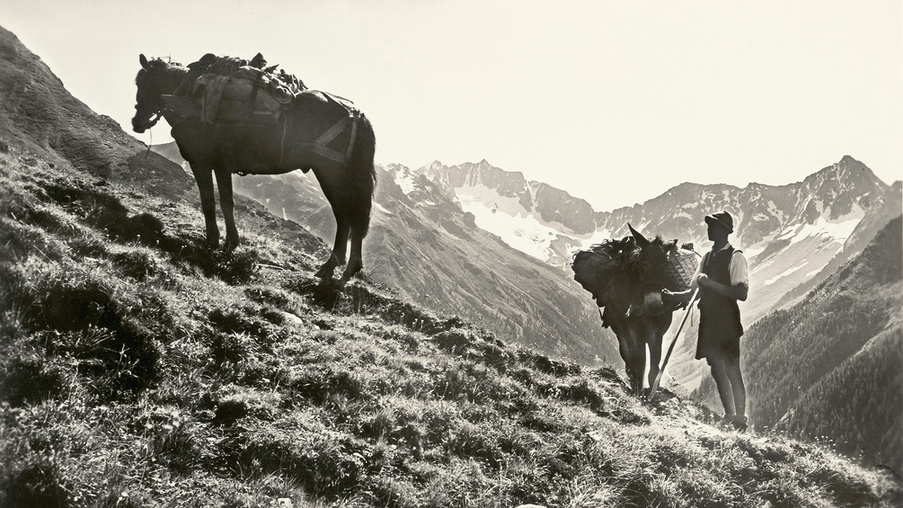 PICTUREDESK.COM/BRANDSTAETTER IMAGES/AUSTRIAN ARCHIVES Bergbauer mit Esel in den Mallnitzer Tauern, um 1930