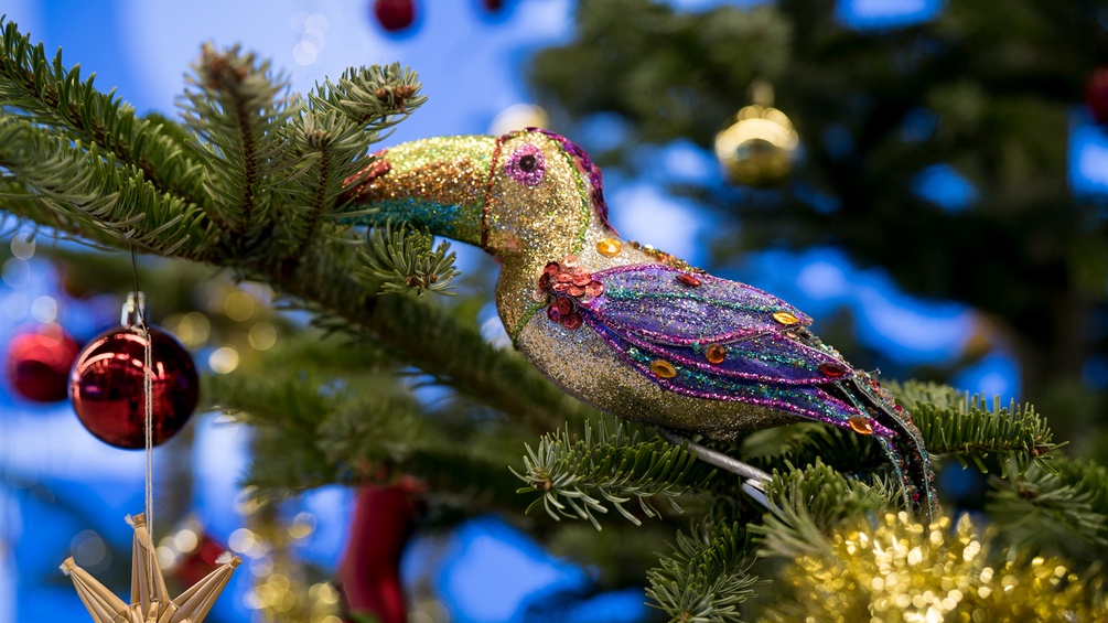 Ein Tukan auf dem Weihnachtsbaum.