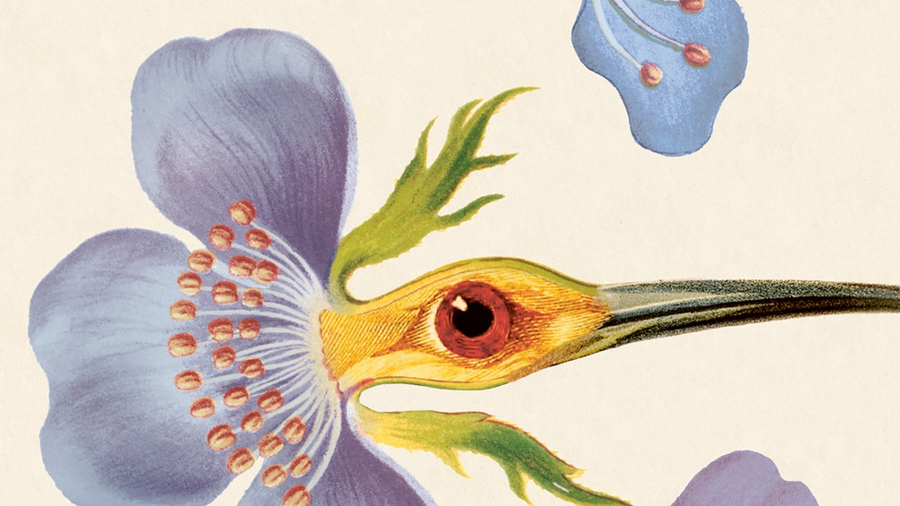 "Botanik des Wahnsinns" von Leon Engler, Ausschnitt des Covers