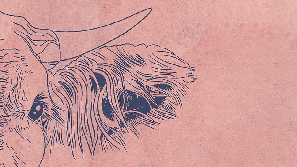 "Die Ablenkung" von Elena Messner, Ausschnitt des Buchumschlags