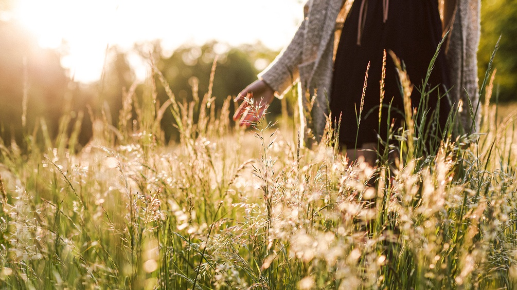 Frau streicht durch eine hohe Blumenwiese